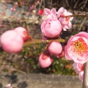 明日から３月・・・