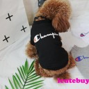 大人気ペットウェア チャンピオン 犬ウェア Championの新品が初発売！
