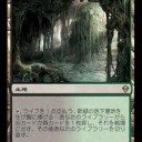 競技レベルのフォイル