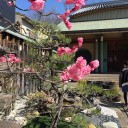 ２か所のお墓参り
