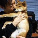 昨日今日と