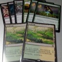 購入報告 | 初めてのフェッチランド
