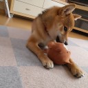 今日は春分の日