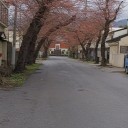 日々