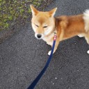 日々