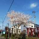 今日は