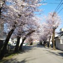 今日は