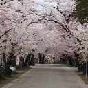 昨日は