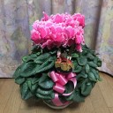 １０連休２日目