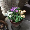 １０連休３日目