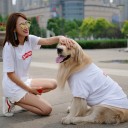 ブランド グッチ シャネルなどペットとの親子服Tシャツ揃い！