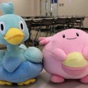 明日はPokéCafé＠サンライフ福島です！交通規制あるのでお気をつけて。
