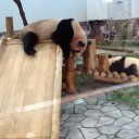 擬似〜