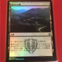新フォーマット「Historic」発表とか、パウパーが正式フォーマット化とか……なんか毎日のようにＭＴＧニュースが飛び込んでくるな……！(・ω・)