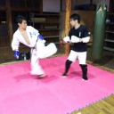 先週から