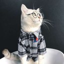 「送料無料」新品 ペット服 おしゃれ|aewanstyle.com