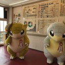 鳥取観光大使と