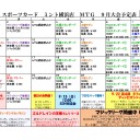【MTG】9月1日(日)日曜モダン【大会結果】