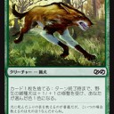 環境は象と犬と…あとやべー奴