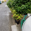 毎日暑い熱い