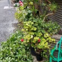 毎日暑い熱い