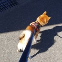 どうしても