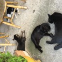 お地蔵さん