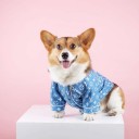 ニット帽子