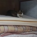 今回外泊初日♪
