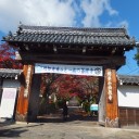 西教寺　明智光秀ゆかりの寺へ‼