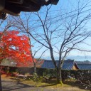 西教寺　明智光秀ゆかりの寺へ‼