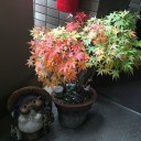 来年のカレンダー