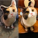 愛犬や愛猫など、ペットの写真入り オーダーメイド プレゼント おすすめ
