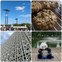 令和元年の大晦日