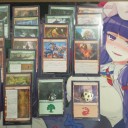 whichcraftテーロスプレリ