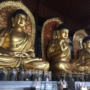 大阪淀川溶接組合親睦旅行2日目