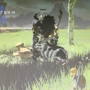ブレスオブワイルドその33