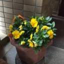 今週もスポーツクラブはキャンセル