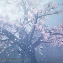 仁王2　その15