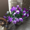 ホームステイの日曜日