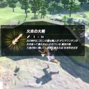 ブレスオブワイルドその73
