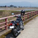 5月になり