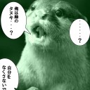 ウメハラがぁ！　喰らいボムゥ！　タヌキ集めてぇ！　まだ見れるゥ！(＾ω＾)
