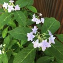 非常事態宣言解除後の週末