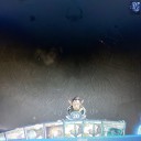 稀によくあること
