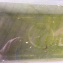 今日は会社のメダカ、金魚、熱帯魚の世話