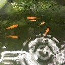 海の日