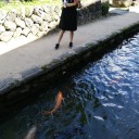 連休四日目