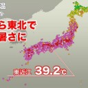 生き延びられるのこれ……