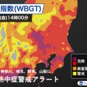 生き延びられるのこれ……